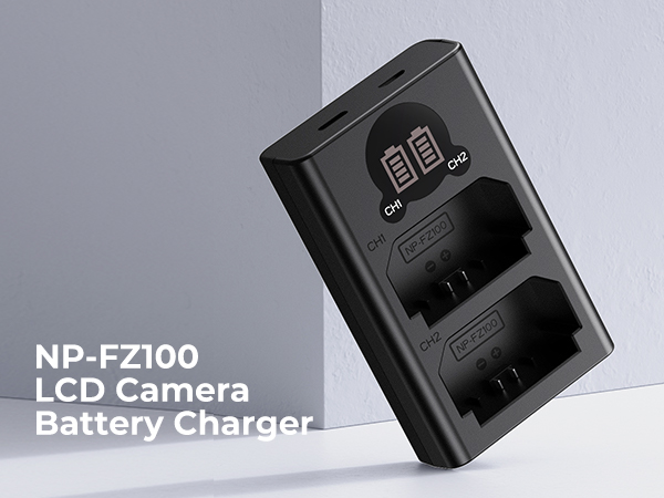 fz100 charger with screen