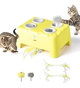 Wortade 2-in-1 Cat Toys Interactive for Bored Indoor Adult Cats