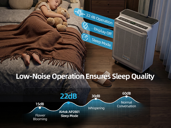 Air Purifier for Home Large Room