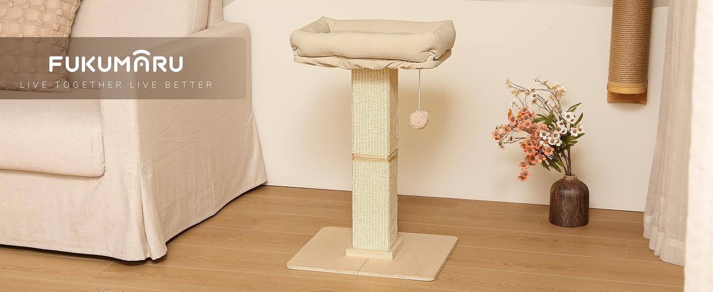 cat scratching post