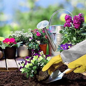 Protection Forearm Long Sleeve Handling Cacti Handling Bushes Handling rose Goatskin pruning glove