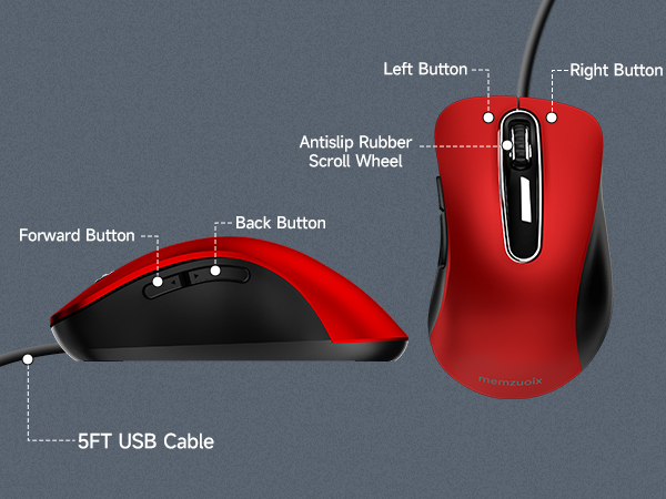 mouse