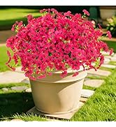 DealBeta 12 Bundles Artificial Flowers for Outdoor Fake Plastic Flowers Faux Plants for Decoratio...