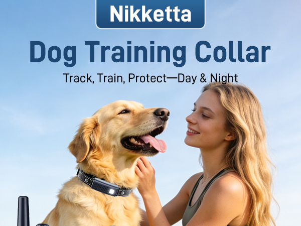 dog training collar for 2 dogs