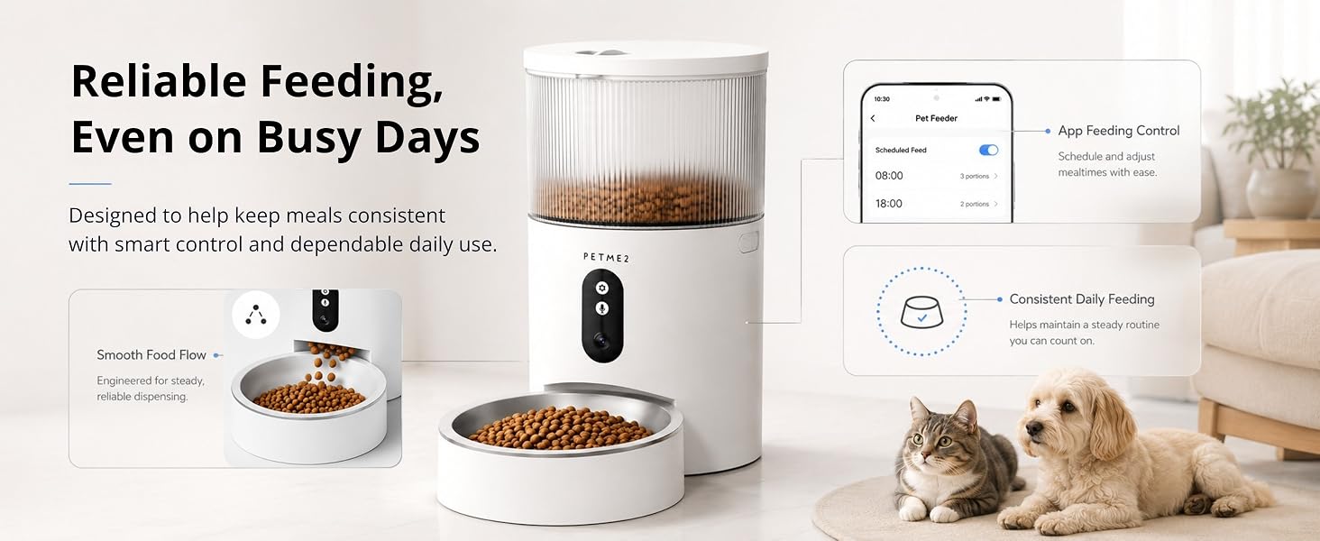 automatic cat feeder