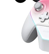 GameSir Super Nova Multiplatform Game Controller – 2.4G Wireless for PC/Switch/iOS/Android – Hall...