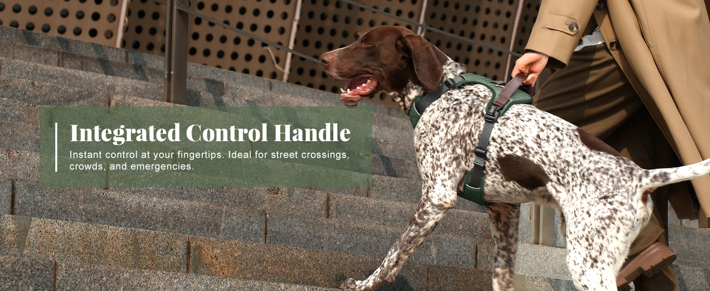 Dog Harness with Handle