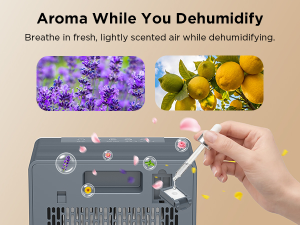 2 in 1 dehumidifier with essential oil diffuser aroma function for home bedroom