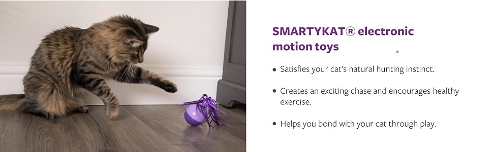 smartykat