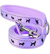 EcoBark Dog Leash - 4 FT / 5 FT / 6 FT Reflective Dog Leash- Eco-Bright Dog Leashes with Padded H...