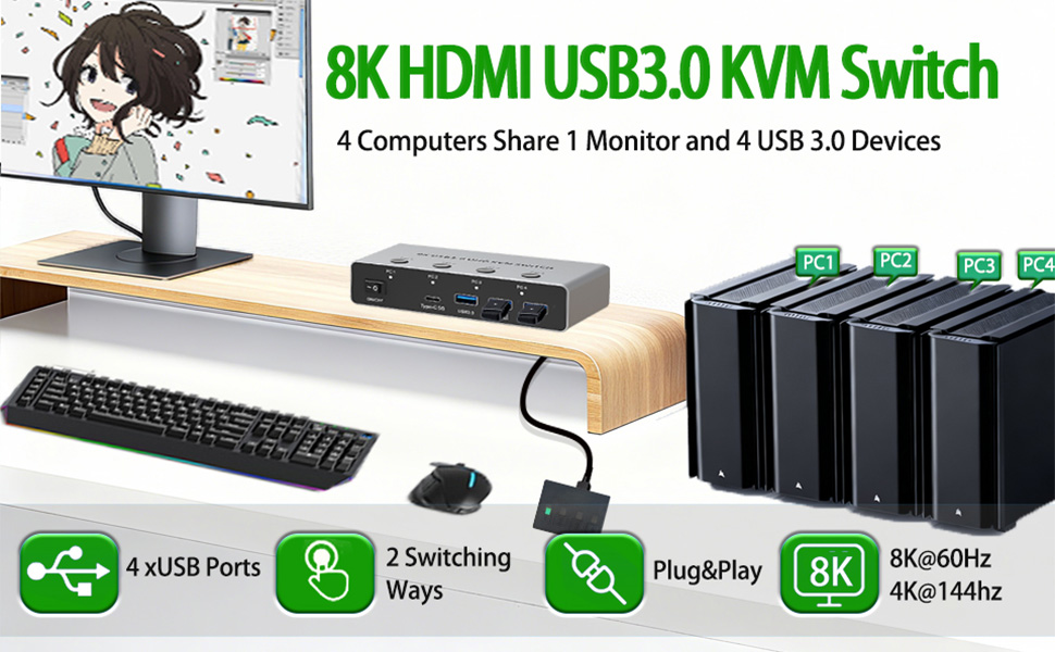 KVM Switch