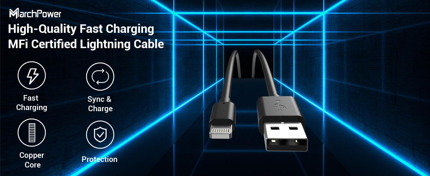 black iPhone cable