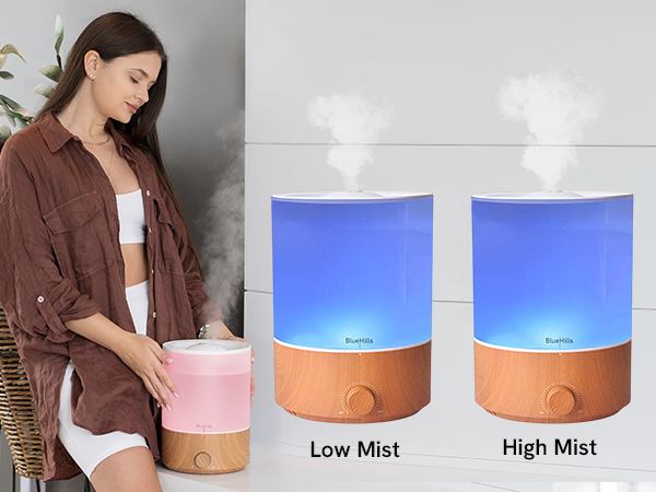 decorations capacity steamer long running hours cleaning water led light colors option adjustable