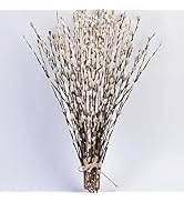 45 Stems 17