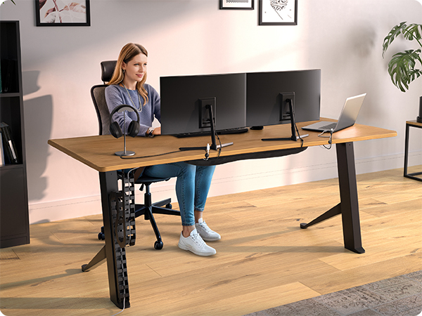 vertebrae cable management under desk