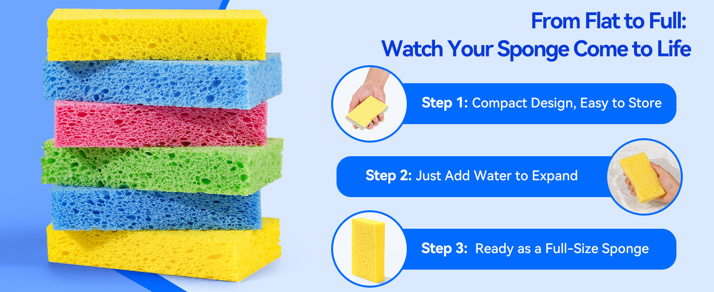 Flat compressed cellulose sponges expanding into full-size sponges after water is added.