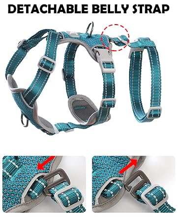 https://m.media-amazon.com/images/S/aplus-media-library-service-media/d55bf7cc-6cc1-45c1-8912-b3af660dd158.__CR0,23,463,579_PT0_SX362_V1___.jpg