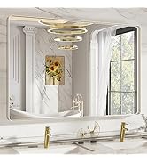 LOAAO 48X30 Inch Brushed Nickel Bathroom Mirror, Rounded Rectangle Silver Metal Frame Mirror, Bru...