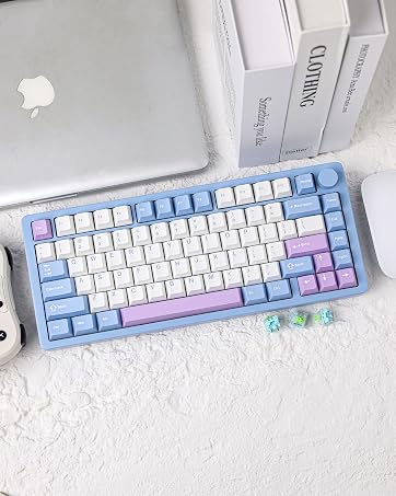 https://m.media-amazon.com/images/S/aplus-media-library-service-media/b56a598a-4ce8-4799-b9db-3c5a4b986a3a.__CR0,0,3580,4480_PT0_SX362_V1___.jpg