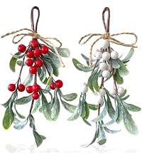 https://m.media-amazon.com/images/S/aplus-media-library-service-media/64e90df6-e541-4503-968c-1d776237dcb5.__AC_SR200,225___.jpg