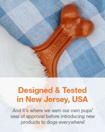 NJ
