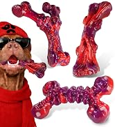 beef flavor dog chew toys 3 pack