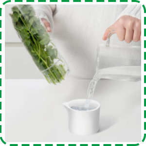 fresh herb keeper