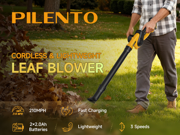 Leaf Blower Cordless