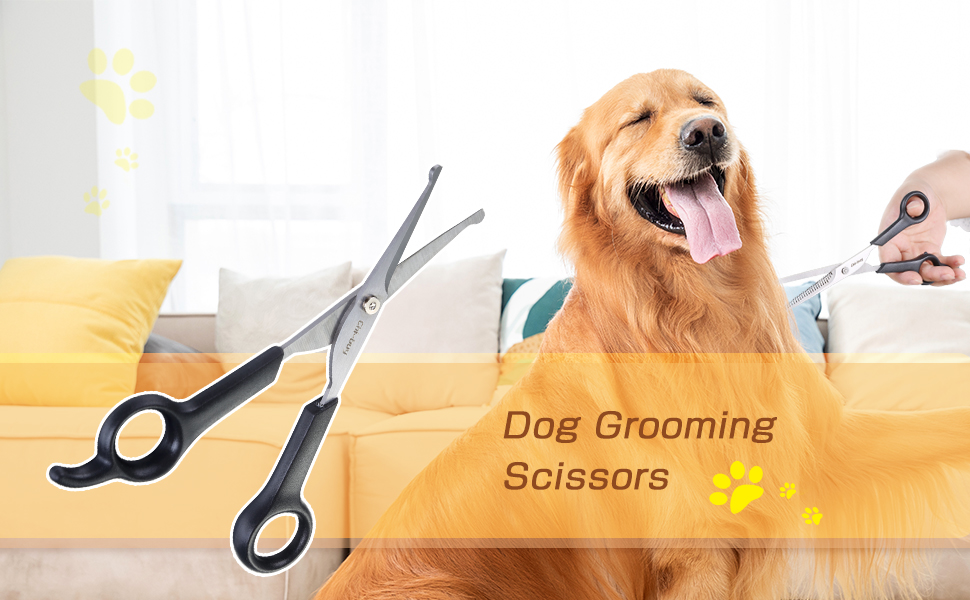 dog grooming scissors