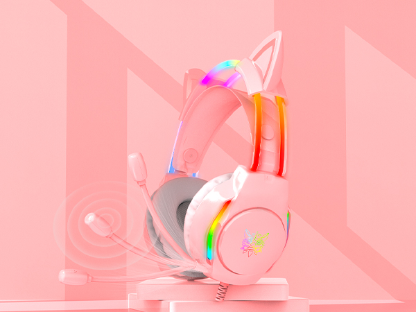Noise Canceling Mic