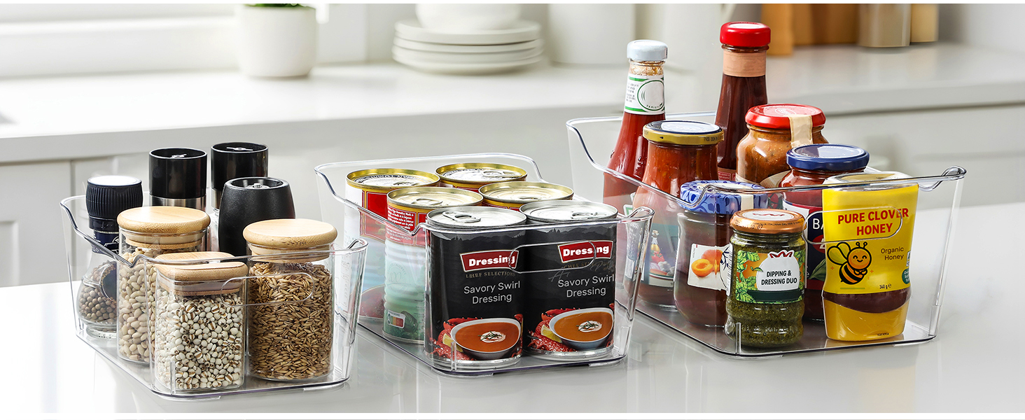 Clear Bins Organizer