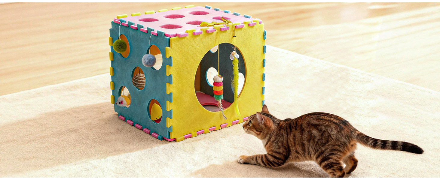 cat bed
