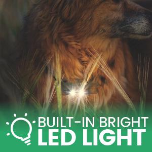 dog training collar with light