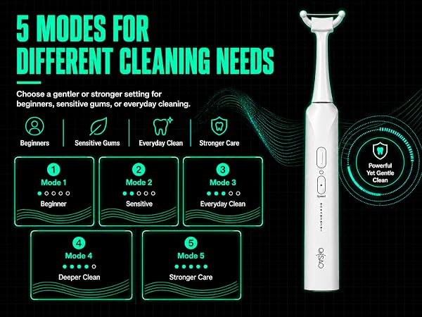 5 Cleaning Modes