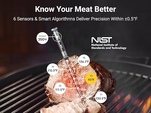 wireless thermometer for grilling wireless meat thermometer for smoker