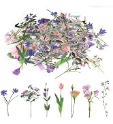 80 Pieces Natural Flower Stickers for Scrapbooking, Self-Adhesive Scrapbooking Stickers Supplies ...