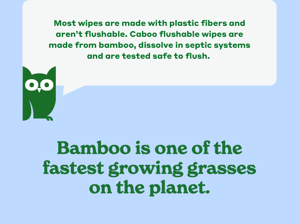 cleansing biodegradable plant renewable fiber sustainable softness absorbent travel camping outdoor