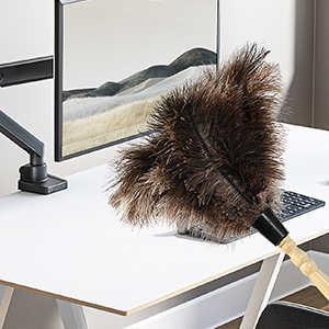 ostrich feather duster