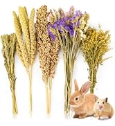 Sukh Natural Hamster Bedding Sprays - Foraging Habitat Decor Cage Accessories, Hideout Enrichment...