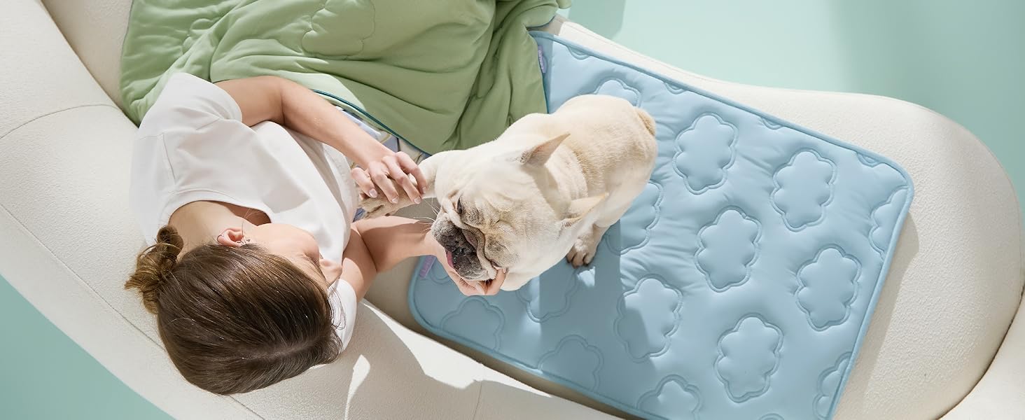Play without heat with Lesure Cooling Dog Bed
