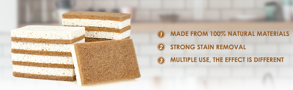 coconut sponge