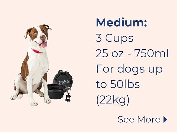 Collapsible Dog Bowl