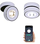 Dimmable Art Ceiling Spot Light LED - 360° Adjustable Surface Mounted Dimming 12W COB Lighting In...