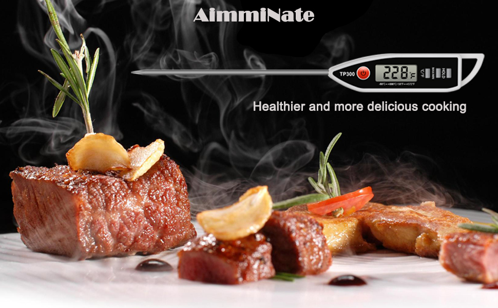 Meat Thermometer