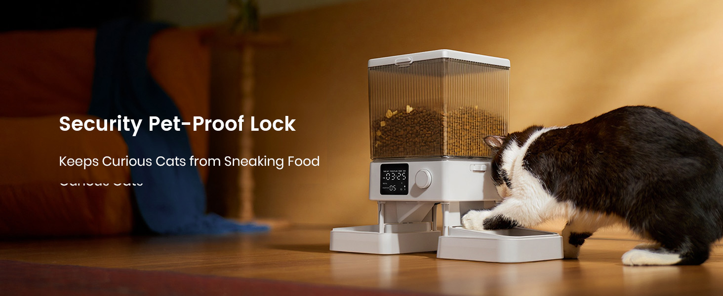 automatic cat feeder
