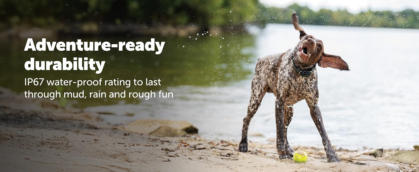 PetSafe Dog Tracker has an IP67 water proof rating