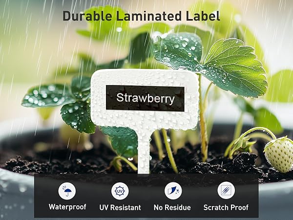 Durable Laminated Label: Waterproof, UV Resistant, Scratch Proof, No Residue