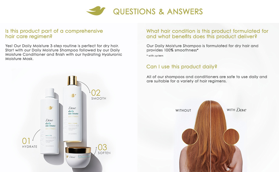 Q & A