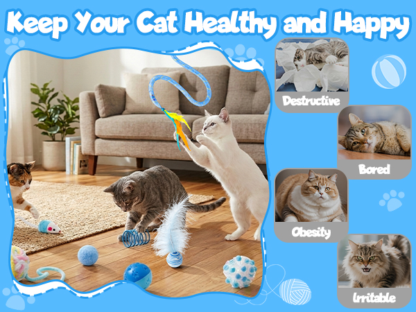 Keep your cat healthy and happy