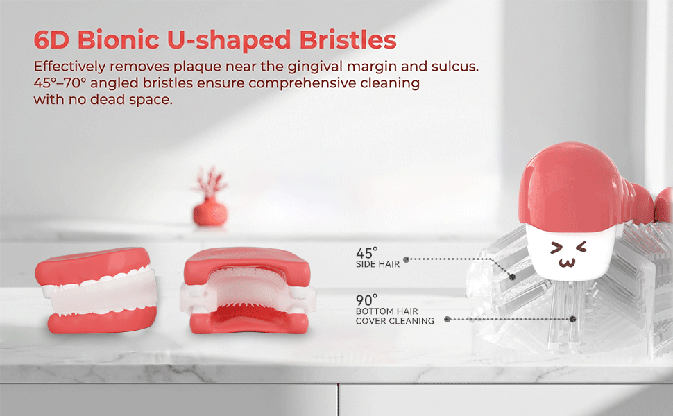 Electric Toothbrush